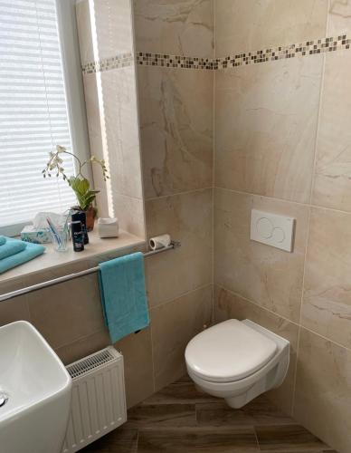 a bathroom with a toilet and a sink at Gästehaus Taschler Hof in Sankt Georgen am Ybbsfelde
