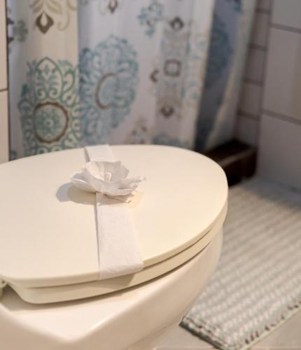 a toilet with a toilet paper on top of it at The Beach House Ground Floor Condo in Coco