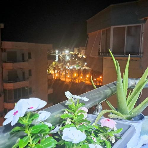 Sea view Apartment Lungomare - Imazhi 4