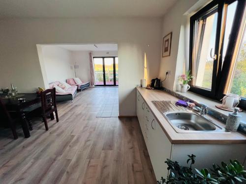 a kitchen with a sink and a living room at The Sanctuary with private Jacuzzi in České Budějovice