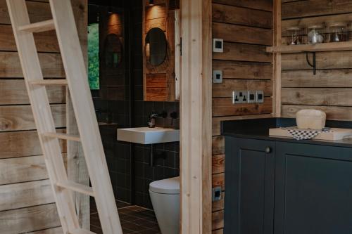 a bathroom with a toilet and a sink at Woolly Wood Cabins - Bryn in Llandrindod Wells