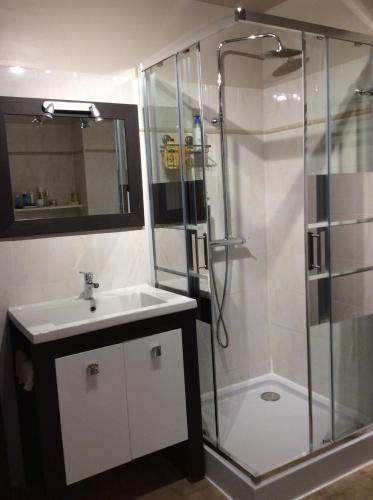 La salle de bains est pourvue d'une douche et d'un lavabo. dans l'établissement Hauts de Portissol 50 m2 terrasse 12 m2 Vue mer, à Sanary-sur-Mer