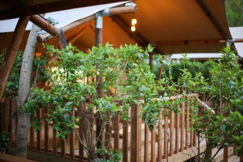 Lodges & Nature - 49 photo 3