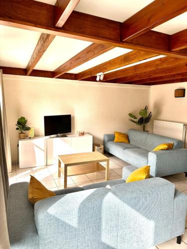 a living room with two blue couches and a tv at Zeepark Haerendycke in Wenduine