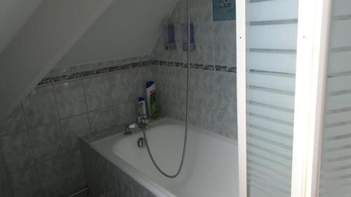 a shower in a bathroom with a bath tub at F2 35-44m2 9 mins voiture château 4pers 1ch+sejour in Le Chesnay
