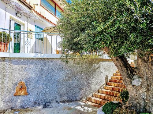 un árbol y escaleras delante de un edificio en A Casa di Alessandra - Rooms en Castellabate