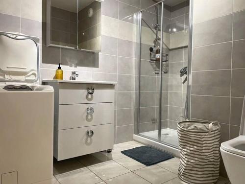 une salle de bain avec une douche, un lavabo et des toilettes dans l'établissement Jolie vue au calme, à Évian-les-Bains