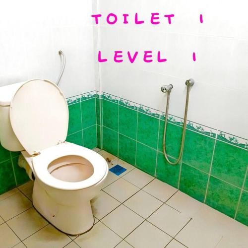 La salle de bains est pourvue de toilettes dans un mur vert. dans l'établissement Budget House Near Penang Airport Bayan Lepas Penang, à Bayan Lepas