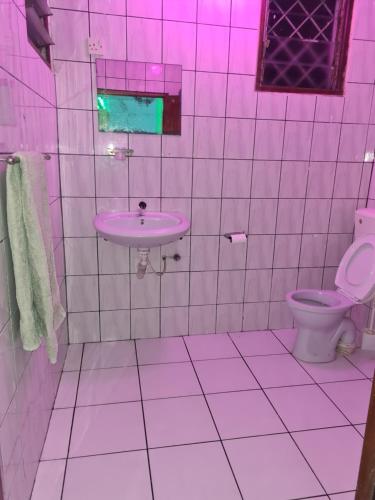a bathroom with a pink sink and a toilet at ADIA APARTMENTS in Mombasa
