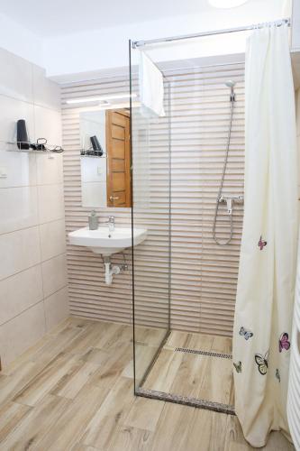a bathroom with a shower and a sink at Madison Vendégház 1 in Kisvárda