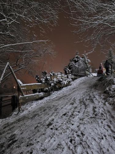 Gallery image of Domki Istebna 1544 in Istebna