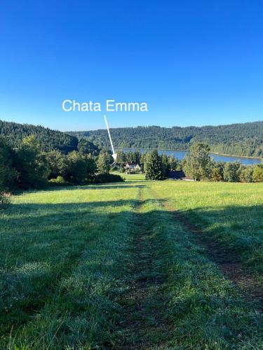 a field of grass with a lake in the background at Chata Emma Frymburk in Frymburk