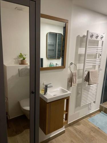 une salle de bain avec un lavabo, des toilettes et un miroir dans l'établissement Lovely apartment Central, Le Marais, Paris, à Paris