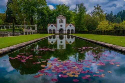 ein großer Teich mit einem Haus und vielen Lilien in der Unterkunft Character Cottage Nr Betws Y Coed. in Betws-y-coed