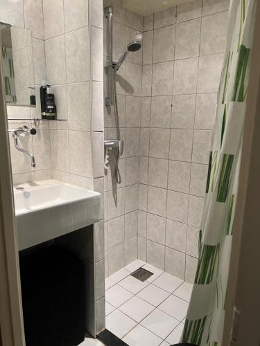 a bathroom with a shower and a sink at Erve het Otman in Denekamp