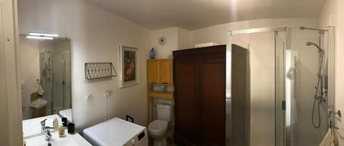 a bathroom with a shower and a sink and a toilet at Le Lodge Park à La Rochelle in La Rochelle