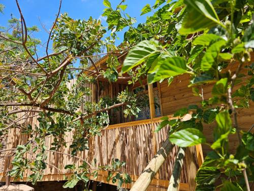 ein Holzhaus mit einem Fenster in den Bäumen in der Unterkunft Jabali Mountain Cabin in Iringa