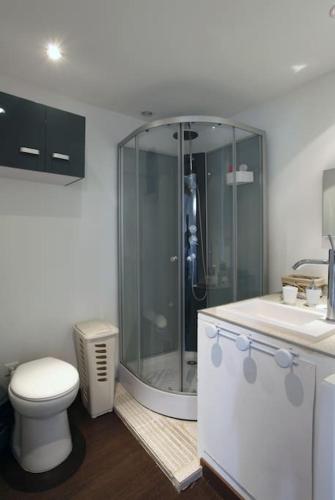une salle de bain avec une douche, des toilettes et un lavabo dans l'établissement Belle maison de village sur theziers, à Théziers
