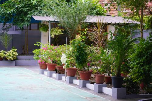 Remasailam Homestay - Thiruvananthapuram , Calm & Blend with Natureにある庭