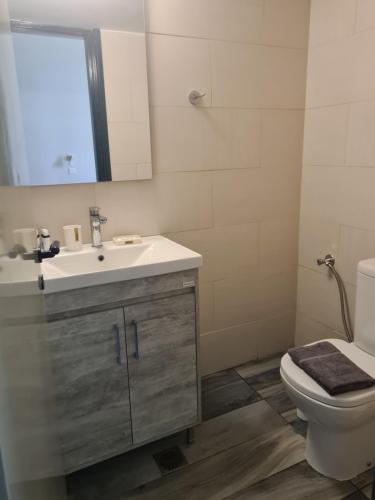 La salle de bains est pourvue d'un lavabo, de toilettes et d'un miroir. dans l'établissement Greco Hotel, à Hydra