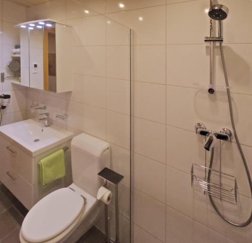 a bathroom with a toilet and a shower at Aparthaus Bianca in Gaschurn