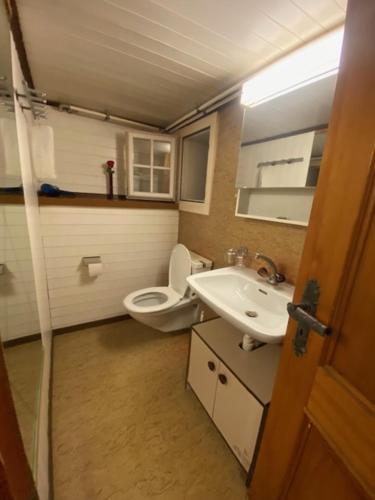 La petite salle de bains est pourvue de toilettes et d'un lavabo. dans l'établissement Sonderbar Home, à Schwyz