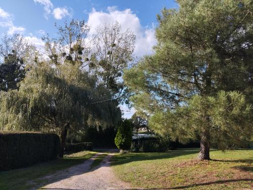 a path in a park with trees and grass at Maison au calme avec vue étang in Clessé