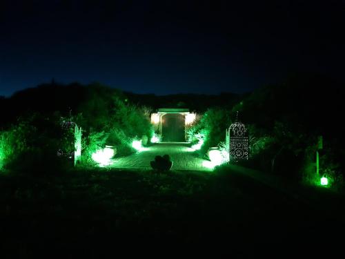 un jardín iluminado por la noche con luces verdes en Hotel Cueva Tardienta Monegros-Adults Only, en Tardienta