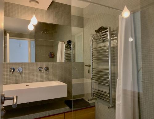 een badkamer met een wastafel en een douche bij Grand Appartement - Tour Eiffel in Parijs