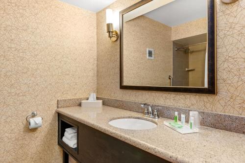 a bathroom with a sink and a mirror at Holiday Inn Johnson City, an IHG Hotel in Johnson City