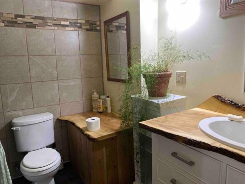 a bathroom with a toilet and a sink at 4 bedroom apartment on 75 acre farm in Tillsonburg