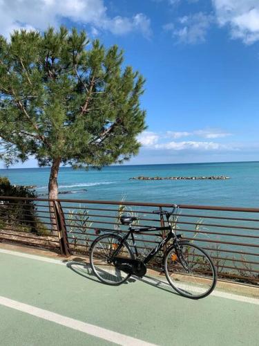 uma bicicleta estacionada ao lado de uma árvore ao lado do oceano em La Ritorna em Ortona