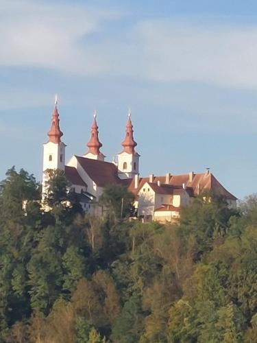 a building on top of a hill with trees at Prenočišče ČERNOŠA Apartma Studio in Gradišče v Slovenskih Goricah
