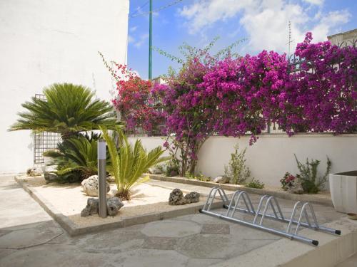 a garden with purple flowers on a wall at B&B Virò in Campi Salentina