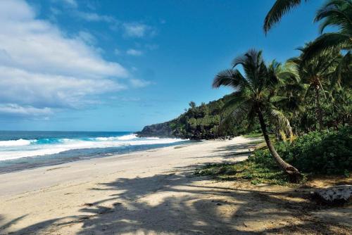 - une plage avec 2 palmiers et l'océan dans l'établissement La Villa Horizon, à Rivière du Rempart