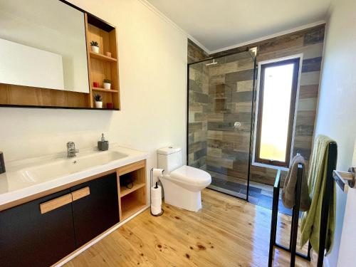 a bathroom with a toilet and a sink and a shower at Pingueral · Nueva y hermosa Casa Pingueral in Dichato