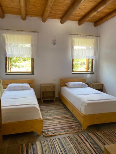 two beds in a room with two windows at Vila Ramaj in Berat