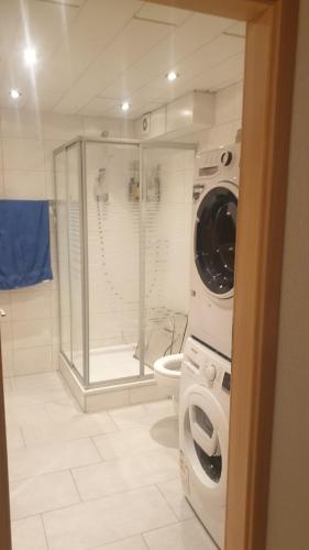 een badkamer met een douche en een wasmachine bij fine quiet studio in Möriken-Wildegg