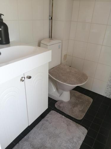 a bathroom with a white sink and a toilet at Sosa's villa. (Free Coffee, BBQ & Garden Fruits) in Turku