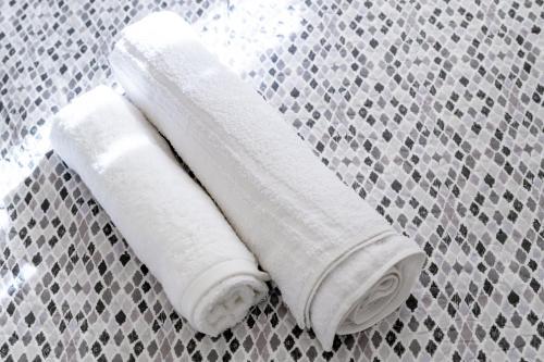 two rolls of white toilet paper on a wall at Ca'Rosa Venezia in Venice