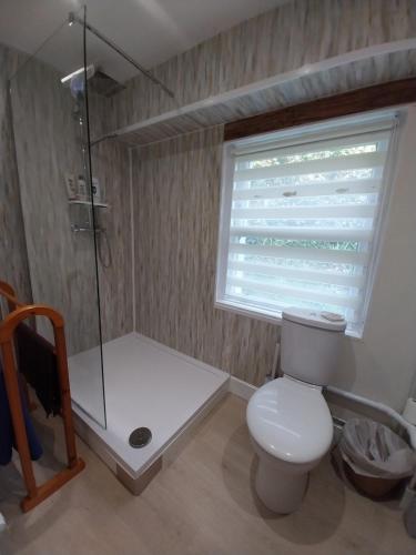 uma casa de banho com um WC, um chuveiro e uma janela. em Idyllic cottage in peaceful rural location em Helensburgh