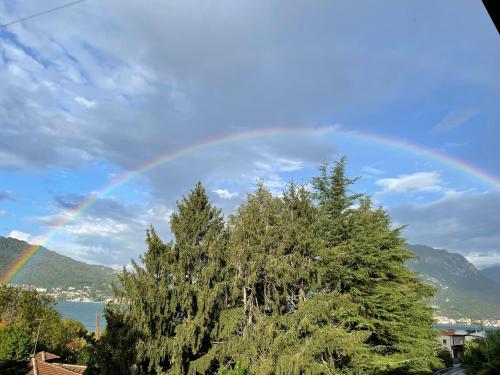 a rainbow in the sky over a tree at GreatLakeMountainView in Vercurago