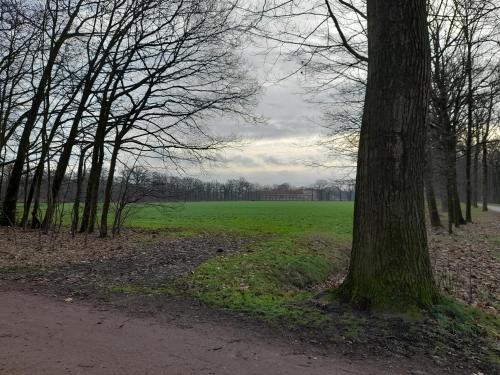 a tree in a park with a green field at Kromven in Merksplas