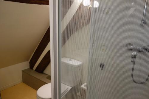 een badkamer met een toilet en een glazen douche bij Le Fassardy in Châteauroux