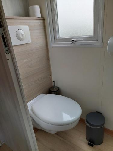 a bathroom with a white toilet and a window at Chalet Doyenne 6 pers. in Hengstdijk