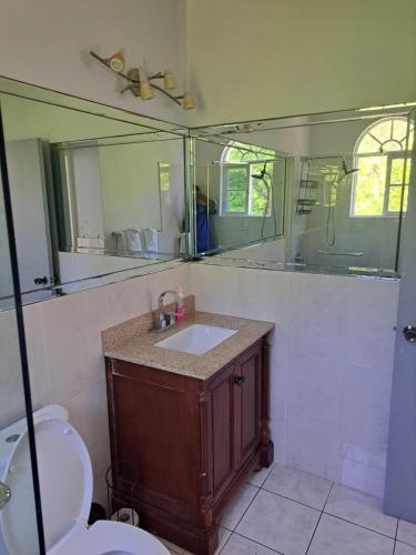 La salle de bains est pourvue d'un lavabo, de toilettes et d'un miroir. dans l'établissement Ivory Tower Ocho Rios, à Ocho Rios