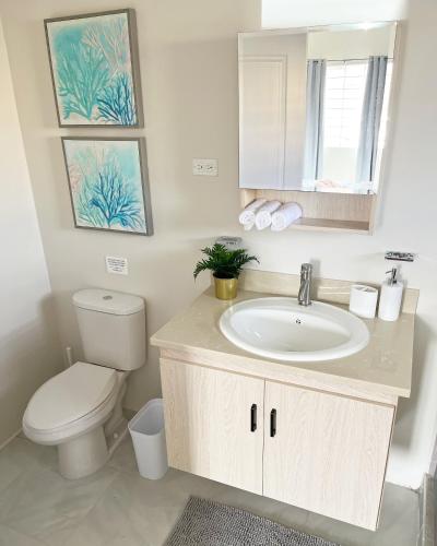 a bathroom with a sink and a toilet and a mirror at Yaad Oasis in Discovery Bay