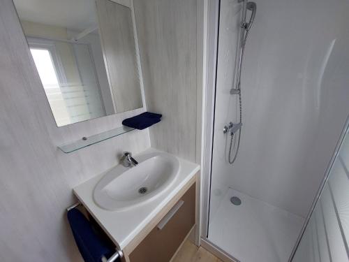 uma casa de banho branca com um lavatório e um chuveiro em Chalet Doyenne 6 pers. em Hengstdijk