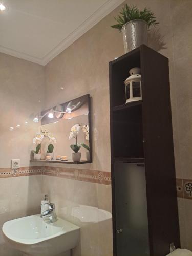 La salle de bains est pourvue d'un lavabo, de toilettes et d'un miroir. dans l'établissement Apartamento nuevo en el centro de Madrid, à Madrid