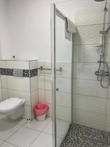 a bathroom with a toilet and a glass shower stall at ALPIN rooms in Topliţa